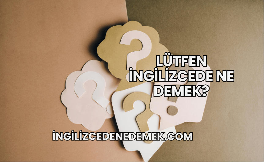 Lütfen İngilizcede Ne Demek?