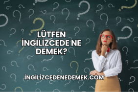 Lütfen İngilizcede Ne Demek?