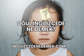 Oğul İngilizcede Ne Demek?