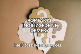 Portakal İngilizcede Ne Demek?