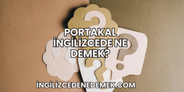 Portakal İngilizcede Ne Demek?