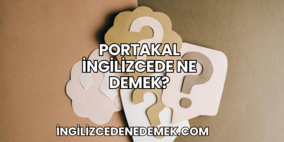 Portakal İngilizcede Ne Demek?