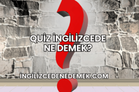 Quiz İngilizcede Ne Demek?