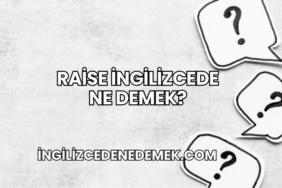 Raise İngilizcede Ne Demek?