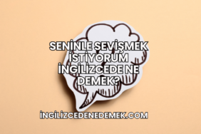 Seninle Sevişmek İstiyorum İngilizcede Ne Demek?
