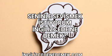 Seninle Sevişmek İstiyorum İngilizcede Ne Demek?