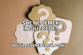 She Ne Demek İngilizcede?