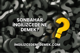 Sonbahar İngilizcede Ne Demek?
