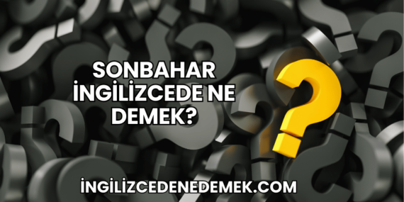 Sonbahar İngilizcede Ne Demek?