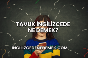 Tavuk İngilizcede Ne Demek?