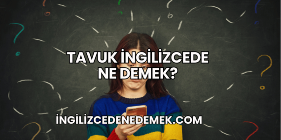 Tavuk İngilizcede Ne Demek?