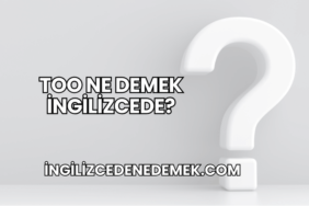 Too Ne Demek İngilizcede?