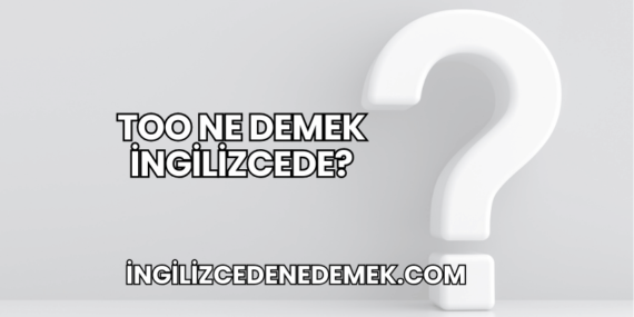 Too Ne Demek İngilizcede?