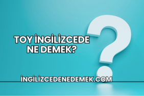 Toy İngilizcede Ne Demek?