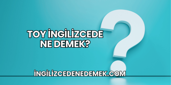 Toy İngilizcede Ne Demek?