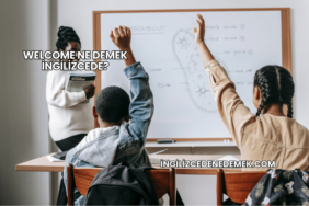 Welcome Ne Demek İngilizcede?