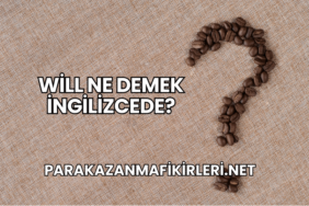 Will Ne Demek İngilizcede?