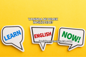 Yanında Ne Demek İngilizcede?