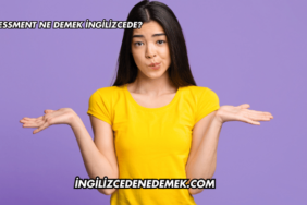 Assessment Ne Demek İngilizcede?