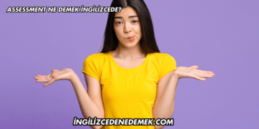 Assessment Ne Demek İngilizcede?