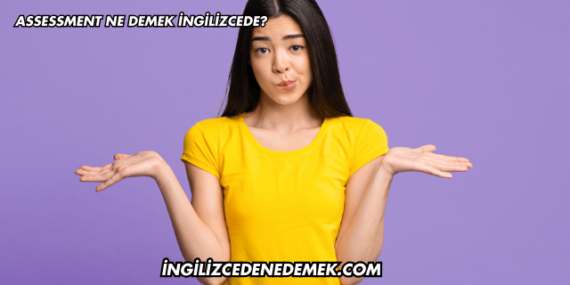 Assessment Ne Demek İngilizcede?