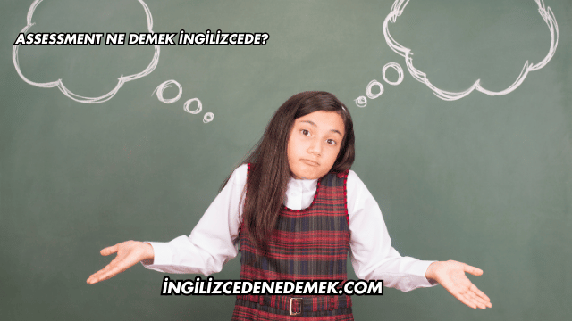 Assessment Ne Demek İngilizcede?