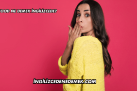 Food Ne Demek İngilizcede?