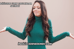 İngilizcede 1'den 100'e Kadar Saymak