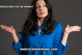 İngilizcede Fox Ne Demek?