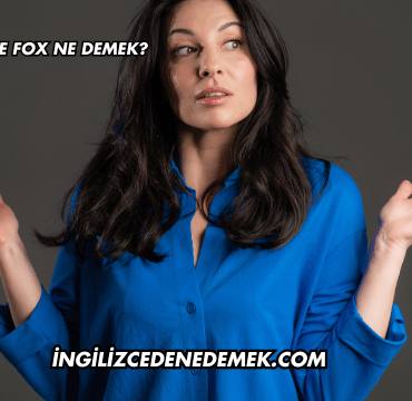 İngilizcede Fox Ne Demek?