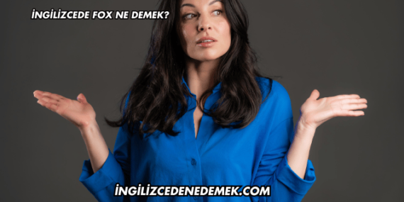 İngilizcede Fox Ne Demek?