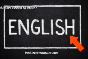 İngilizcede Google Ne Demek?