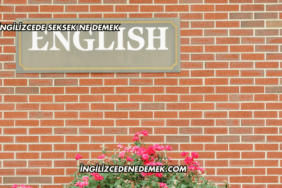 Face ne demek İngilizcede