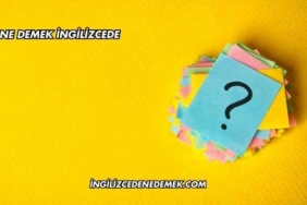 Cut Ne Demek İngilizcede