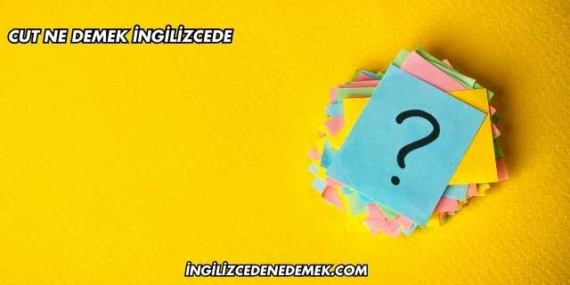 Cut Ne Demek İngilizcede