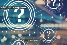 Dog İngilizcede Ne Demek