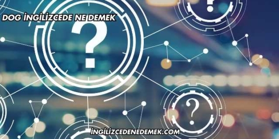 Dog İngilizcede Ne Demek