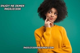 Enjoy Ne Demek İngilizcede