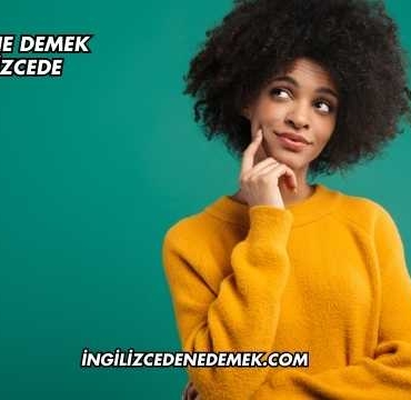 Enjoy Ne Demek İngilizcede