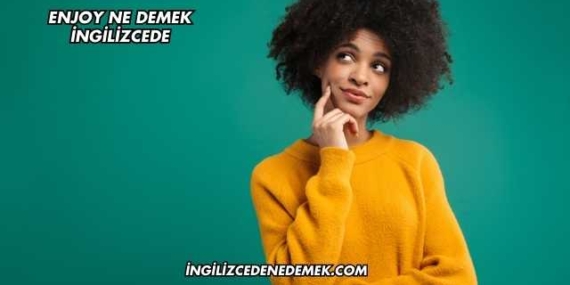 Enjoy Ne Demek İngilizcede