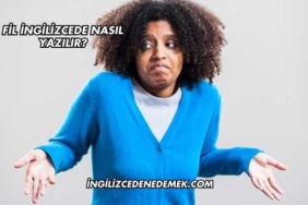 Fil İngilizcede Nasıl Yazılır?