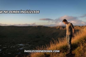 Fine Ne Demek İngilizcede