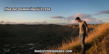 Fine Ne Demek İngilizcede