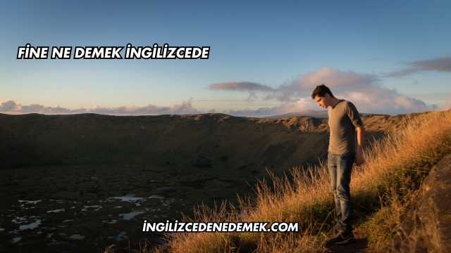 Fine Ne Demek İngilizcede
