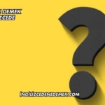 From Ne Demek İngilizcede