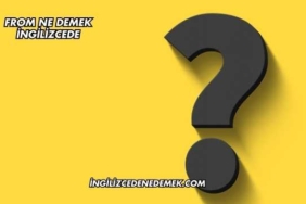 From Ne Demek İngilizcede