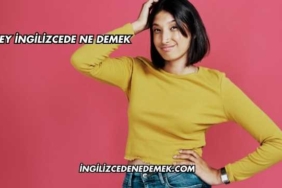 Grey İngilizcede Ne Demek