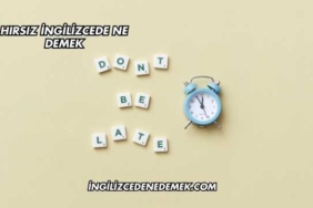 Hırsız İngilizcede Ne Demek