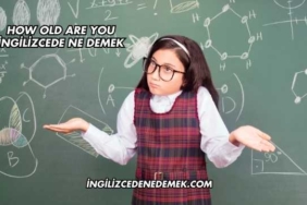 How Old Are You İngilizcede Ne Demek