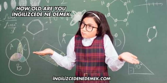 How Old Are You İngilizcede Ne Demek